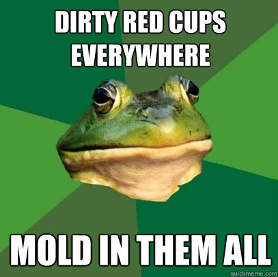 Dirty red cups everywhere Mold in them all  Foul Bachelor Frog