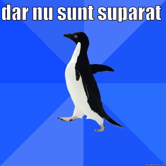 DAR NU SUNT SUPARAT   Socially Awkward Penguin