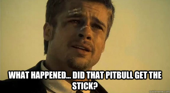  what happened... did that pitbull get the stick? -  what happened... did that pitbull get the stick?  Brad Pitt- Whats in the box