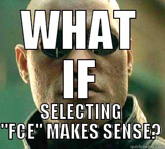 WHAT IF SELECTING 