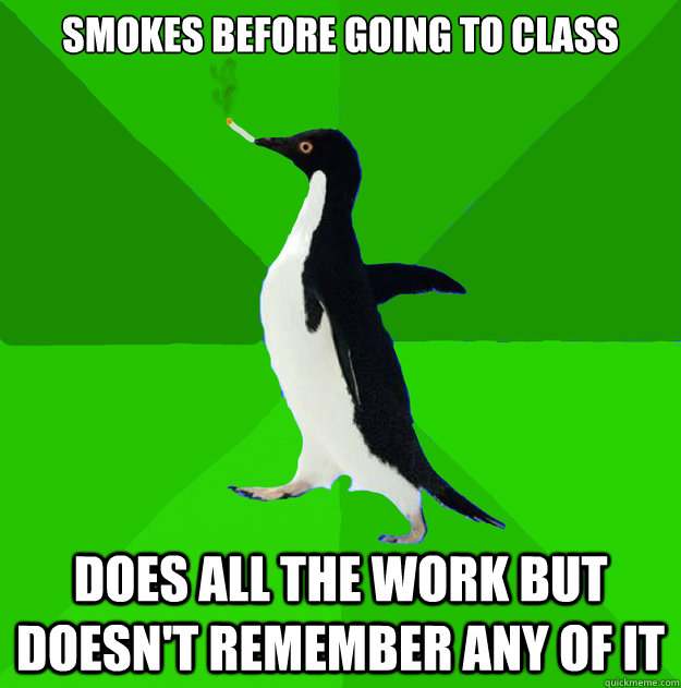 smokes before going to class does all the work but doesn't remember any of it  Stoner Penguin