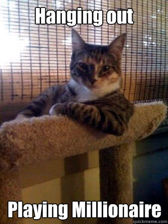 Hanging out Playing Millionaire  The Most Interesting Cat in the World