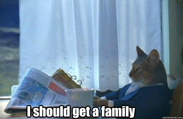 I should get a family  Sophisticated Cat is broke