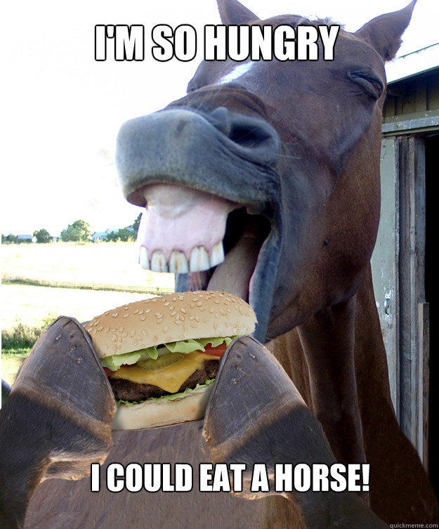 I'M SO HUNGRY I COULD EAT A HORSE! nathanielthehorse quickmeme