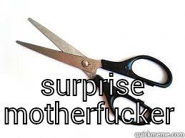   SURPRISE MOTHERFUCKER Misc