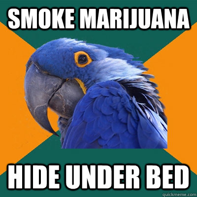 Smoke Marijuana Hide Under Bed  Paranoid Parrot