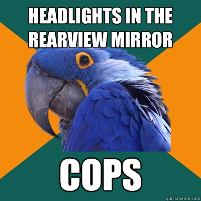 Headlights in the rearview mirror COPS  Paranoid Parrot