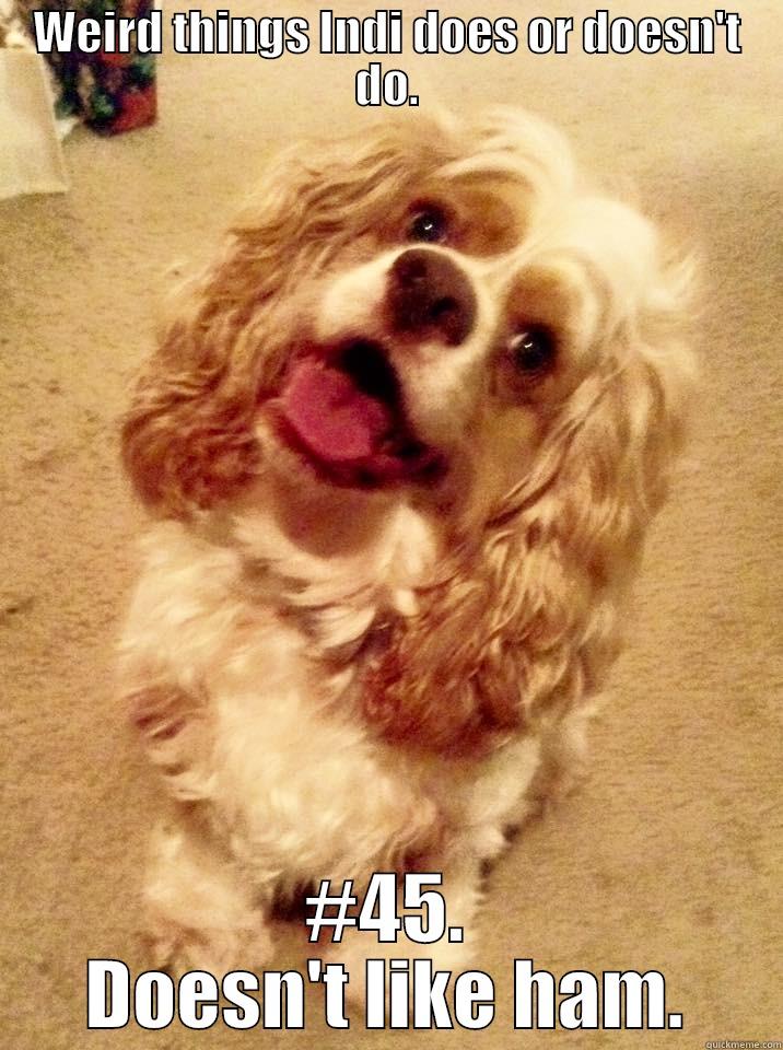 WEIRD THINGS INDI DOES OR DOESN'T DO. #45. DOESN'T LIKE HAM. Misc