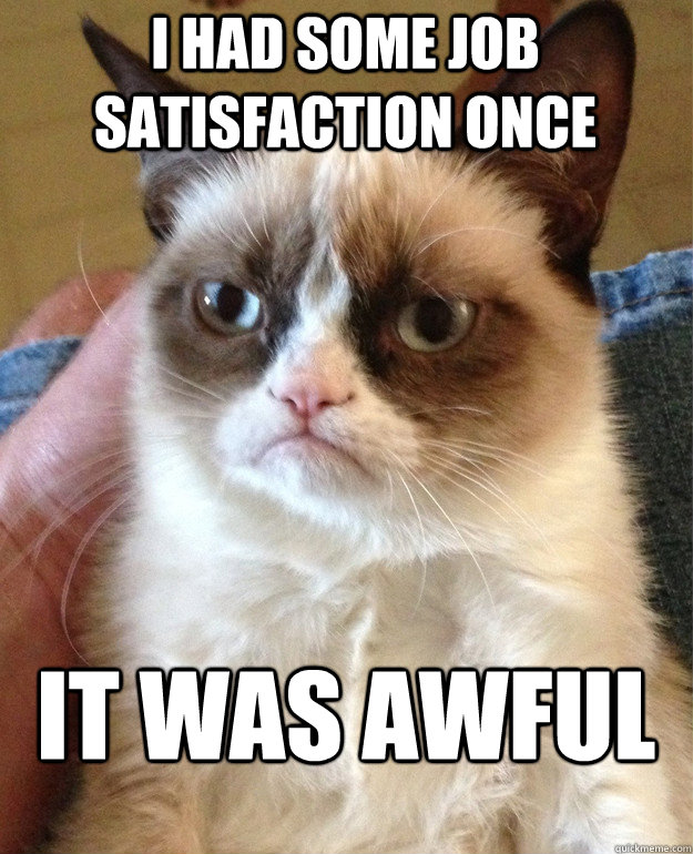 i had some job satisfaction once It was awful  Grumpy Cat