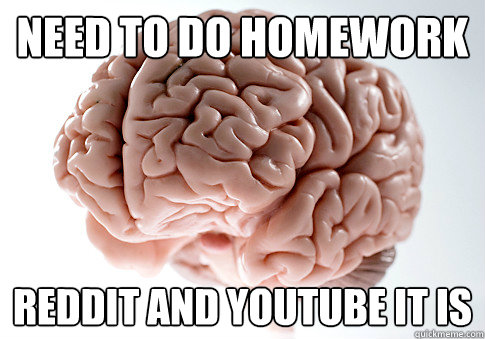 Need to do homework Reddit and youtube it is  Scumbag Brain