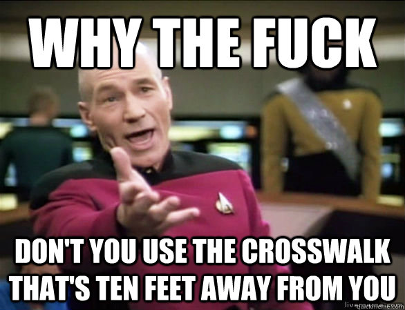 why the fuck don't you use the crosswalk that's ten feet away from you  Annoyed Picard HD