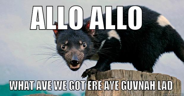 ALLO ALLO  WHAT AVE WE GOT ERE AYE GUVNAH LAD Misc