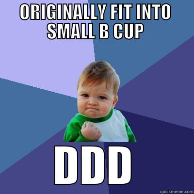 ORIGINALLY FIT INTO SMALL B CUP DDD Success Kid