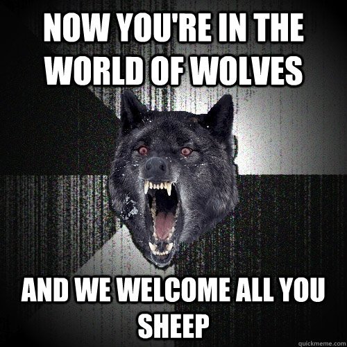 now you're in the world of wolves and we welcome all you sheep   Insanity Wolf