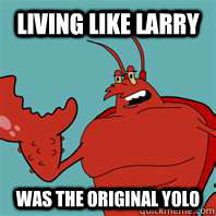 Living like Larry Was the original Yolo - Living like Larry Was the original Yolo  Larry