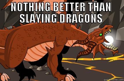 NOTHING BETTER THAN SLAYING DRAGONS  Misc