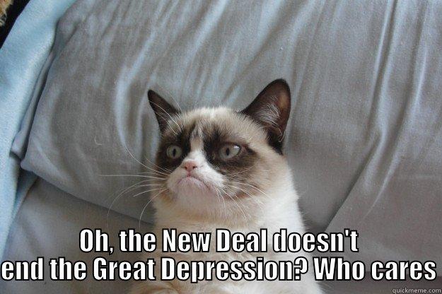   OH, THE NEW DEAL DOESN'T END THE GREAT DEPRESSION? WHO CARES Grumpy Cat