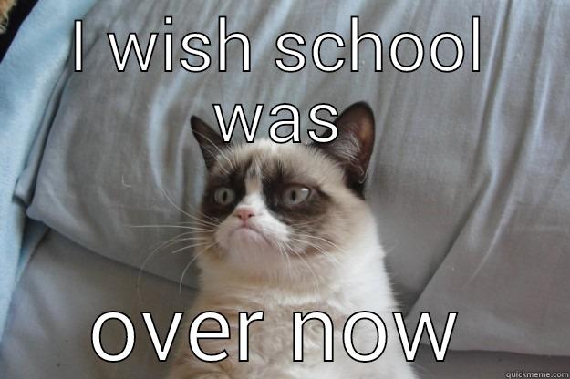 I WISH SCHOOL WAS OVER NOW Grumpy Cat
