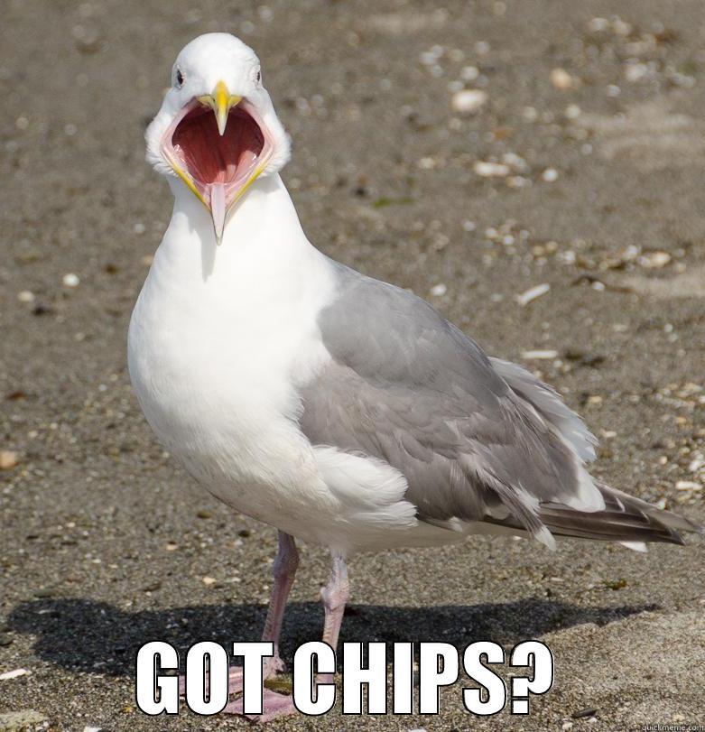 seagull says ahh -  GOT CHIPS? Misc
