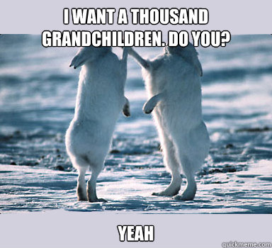 i want a thousand grandchildren. Do you? yeah  Bunny Bros