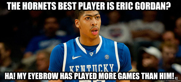 the hornets best player is eric gordan? ha! my eyebrow has played more games than him! - the hornets best player is eric gordan? ha! my eyebrow has played more games than him!  Misc