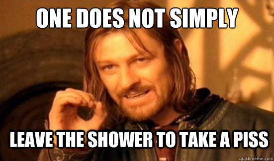 One Does Not Simply leave the shower to take a piss - One Does Not Simply leave the shower to take a piss  Boromir