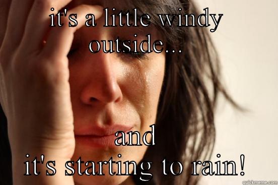 IT'S A LITTLE WINDY OUTSIDE... AND IT'S STARTING TO RAIN! First World Problems