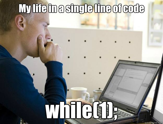 My life in a single line of code while(1);  Programmer