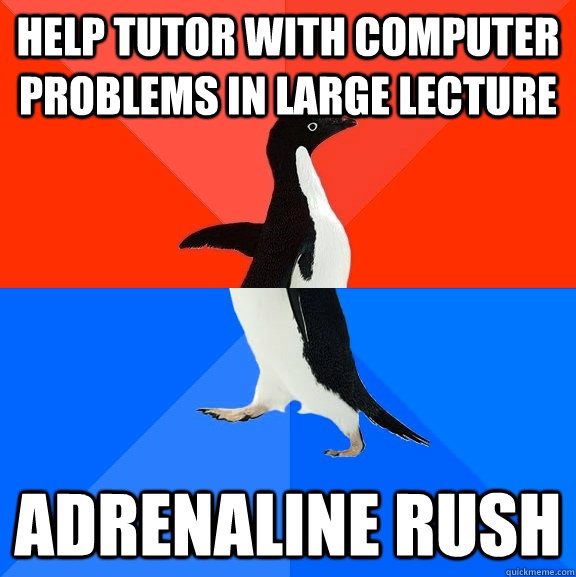Help tutor with computer problems in large lecture Adrenaline rush  Socially Awesome Awkward Penguin