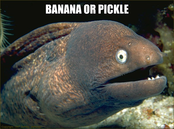Banana or Pickle   Bad Joke Eel
