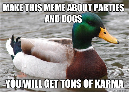 Make this meme about parties and dogs You will get tons of karma  Actual Advice Mallard