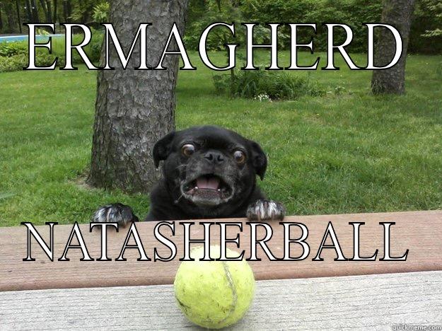 Ermagherd balls  - ERMAGHERD NATASHERBALL Berks Dog