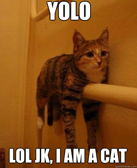YOLO LOL JK, I AM A CAT - YOLO LOL JK, I AM A CAT  Monorail Cat