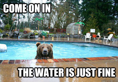 Come on In The water is just fine - Come on In The water is just fine  Poolside Bear