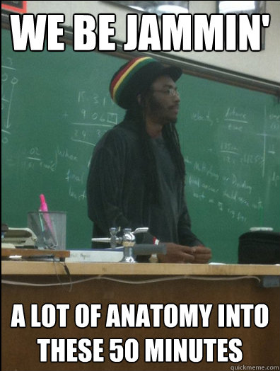 we be jammin' a lot of anatomy into these 50 minutes  Rasta Science Teacher