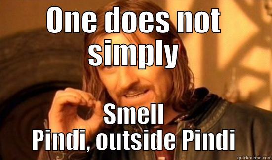 ONE DOES NOT SIMPLY SMELL PINDI, OUTSIDE PINDI Boromir