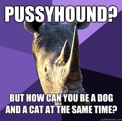 Pussyhound? But how can you be a dog and a cat at the same time?  Sexually Oblivious Rhino