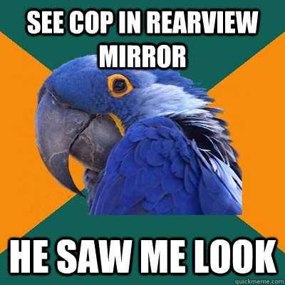 see cop in rearview mirror he saw me look  Paranoid Parrot