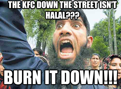 the kfc down the street isn't halal??? burn it down!!!  