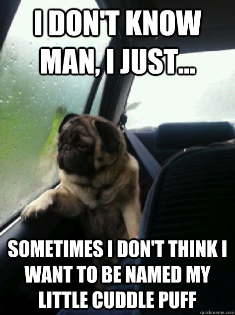 I don't know man, I just... Sometimes i don't think i want to be named my little cuddle puff  Introspective Pug