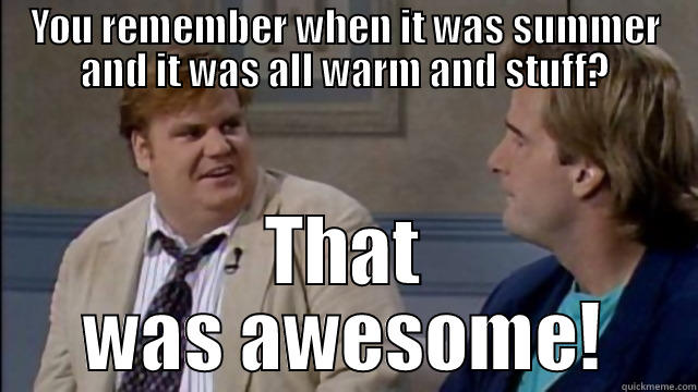 Awesome Chris Farley Show - YOU REMEMBER WHEN IT WAS SUMMER AND IT WAS ALL WARM AND STUFF? THAT WAS AWESOME! Misc