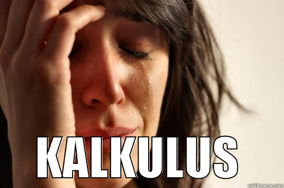  KALKULUS First World Problems
