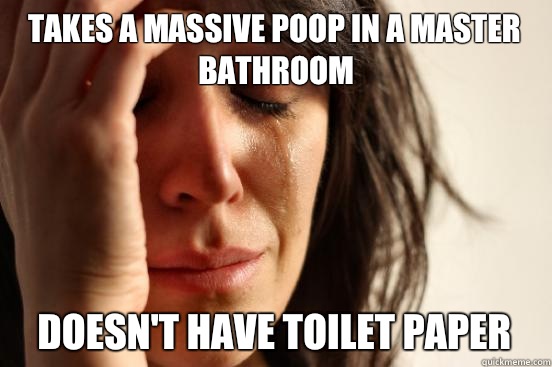 Takes a massive poop in a master bathroom Doesn't have toilet paper  First World Problems