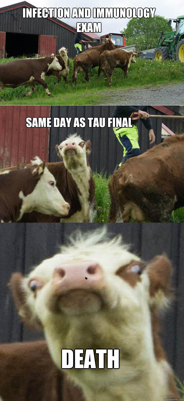 Infection and Immunology Exam Death Same Day as TAU Final - Infection and Immunology Exam Death Same Day as TAU Final  Derp Cow