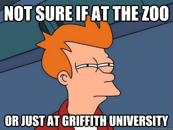 Not sure if at the zoo Or just at Griffith University  Futurama Fry