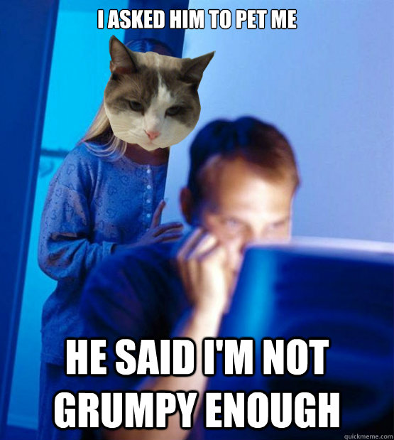 I asked him to pet me He said I'm not grumpy enough - I asked him to pet me He said I'm not grumpy enough  Redditors Cat