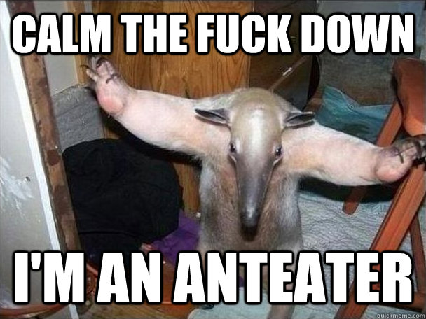 Calm the fuck down I'm an anteater - Calm the fuck down I'm an anteater  I got this