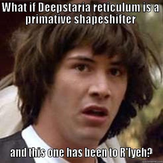 WHAT IF DEEPSTARIA RETICULUM IS A PRIMATIVE SHAPESHIFTER  AND THIS ONE HAS BEEN TO R'LYEH? conspiracy keanu