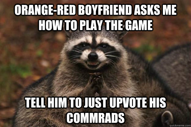 Orange-red boyfriend asks me how to play the game Tell him to just upvote his commrads  Evil Plotting Raccoon
