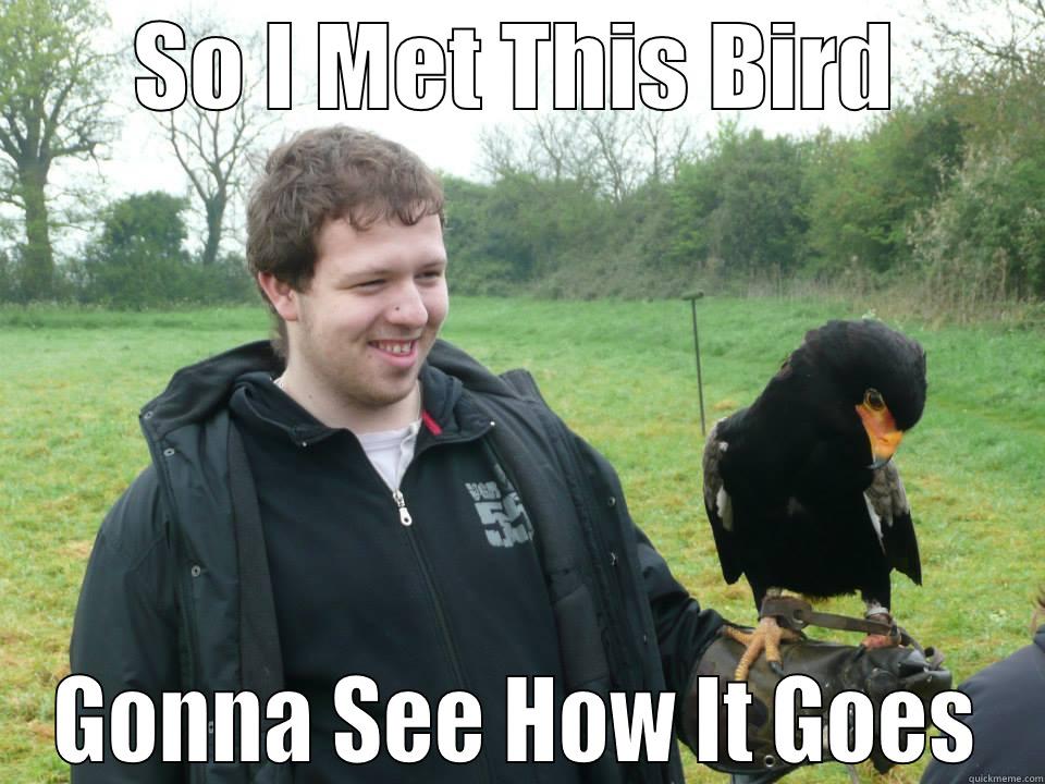 SO I MET THIS BIRD GONNA SEE HOW IT GOES Misc